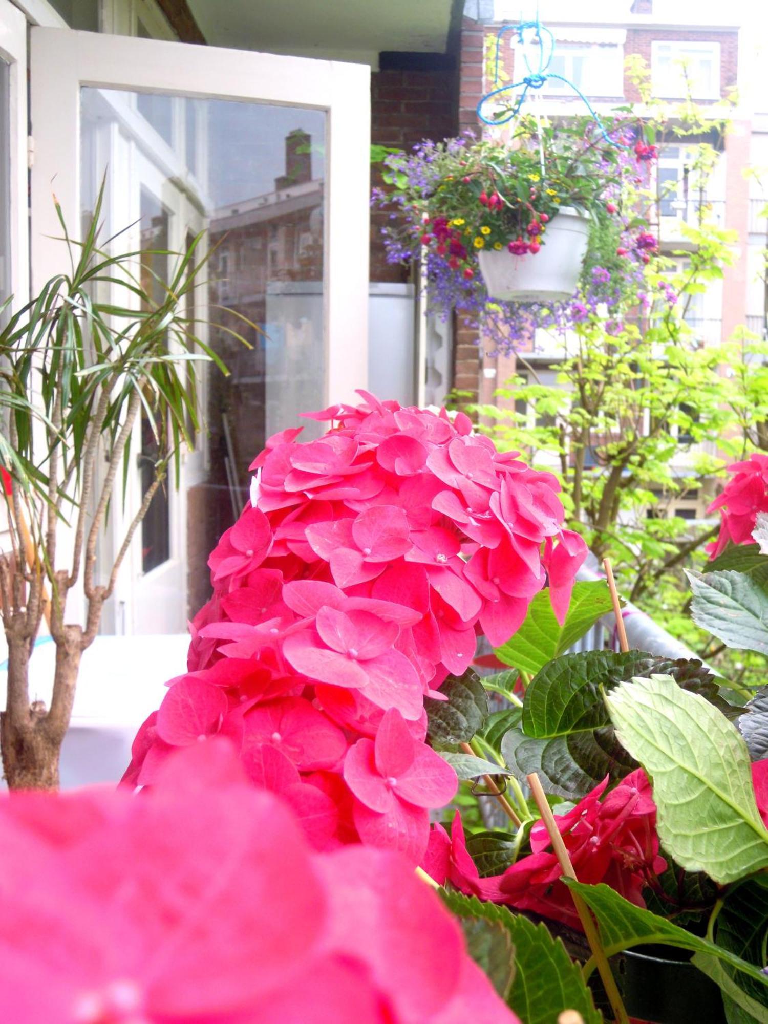 Missortelia B&B อัมสเตอร์ดัม ภายนอก รูปภาพ
