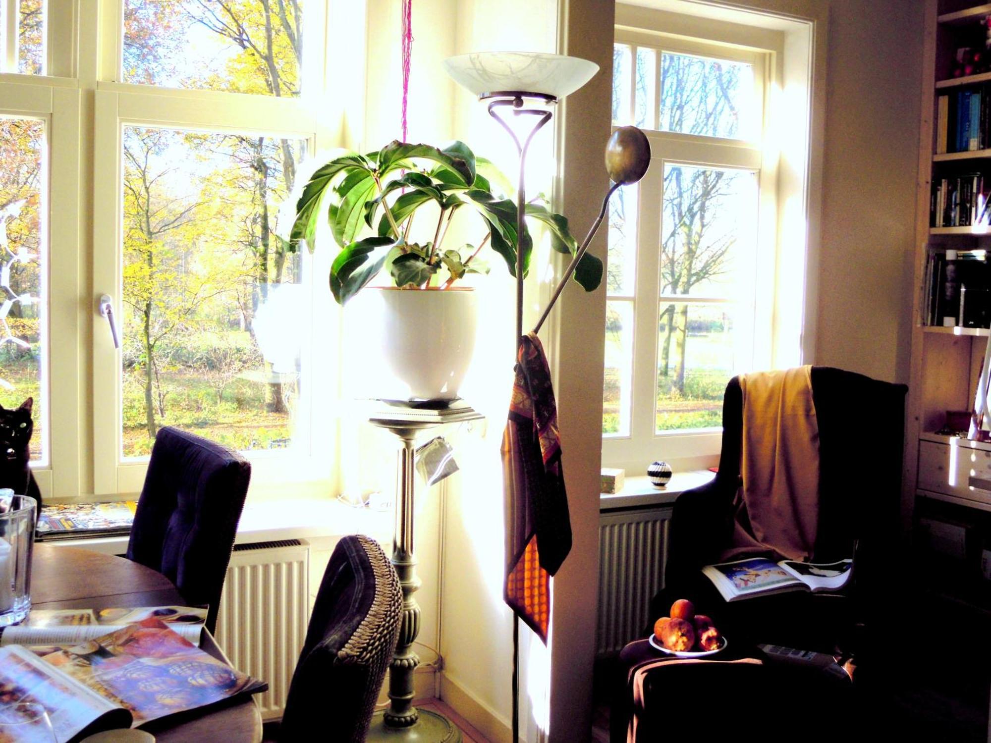 Missortelia B&B อัมสเตอร์ดัม ภายนอก รูปภาพ