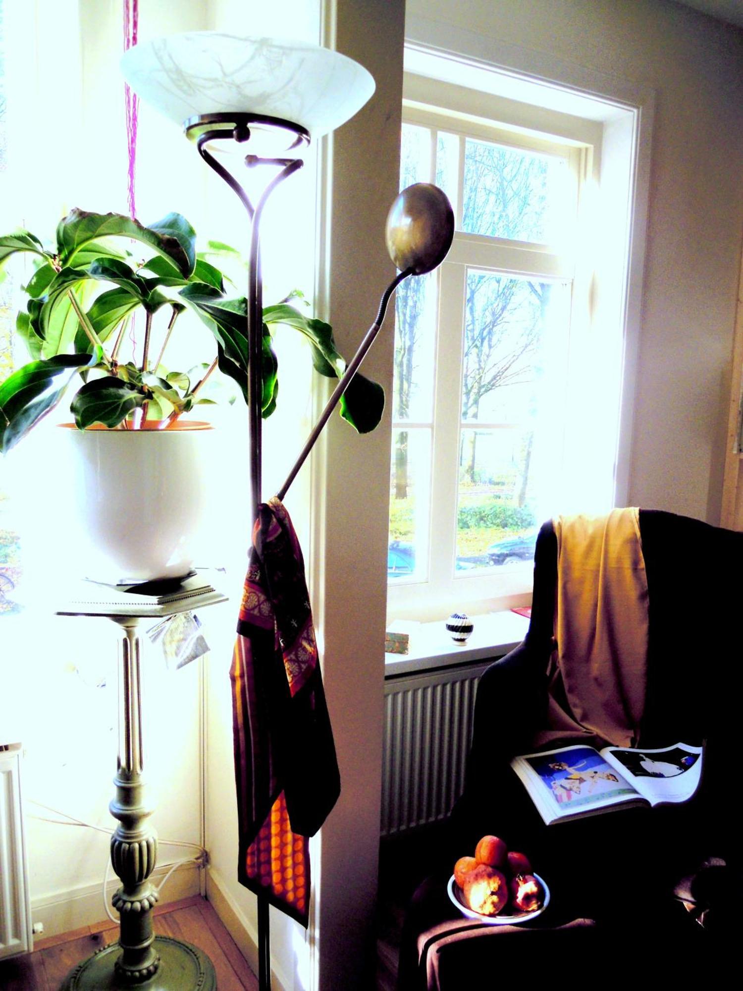 Missortelia B&B อัมสเตอร์ดัม ภายนอก รูปภาพ