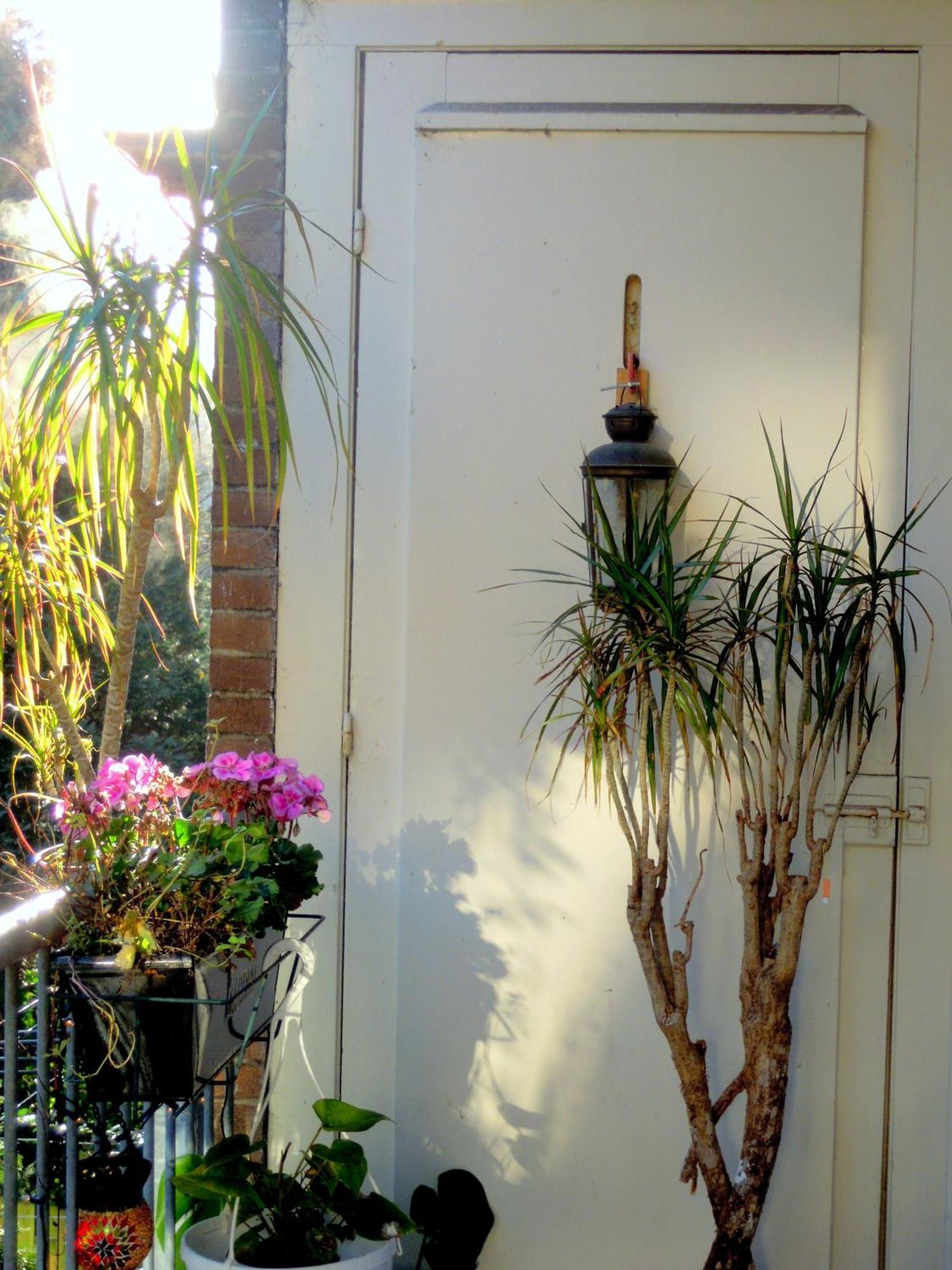 Missortelia B&B อัมสเตอร์ดัม ภายนอก รูปภาพ