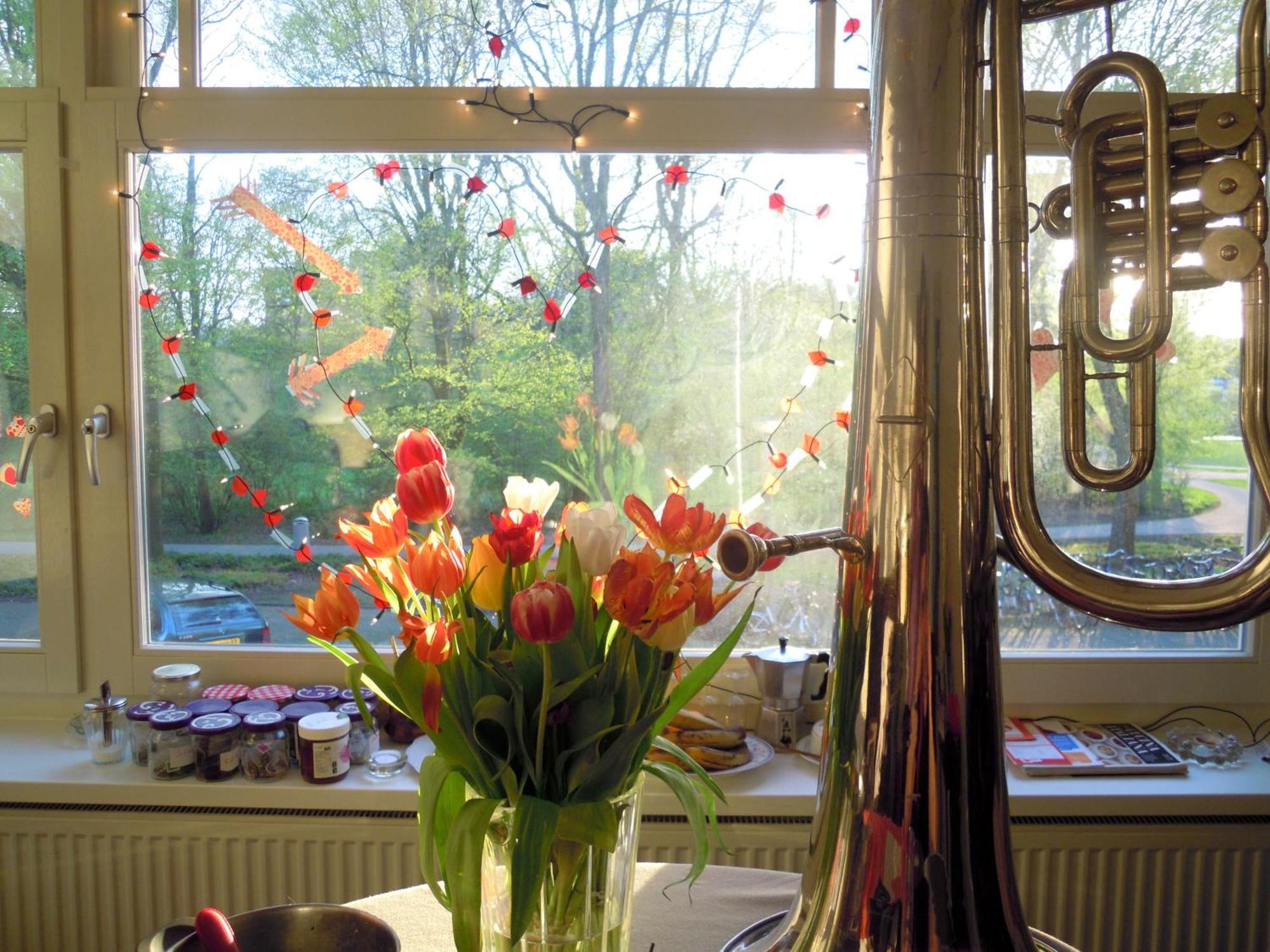 Missortelia B&B อัมสเตอร์ดัม ภายนอก รูปภาพ